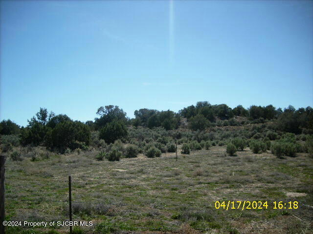 XX ROAD 2947, AZTEC, NM 87410, photo 1 of 3