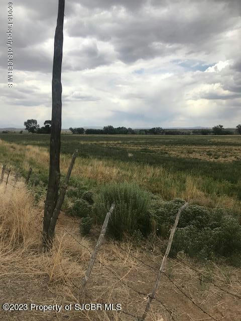 TRACT S1 ROAD 1191, LA PLATA, NM 87418, photo 1 of 2