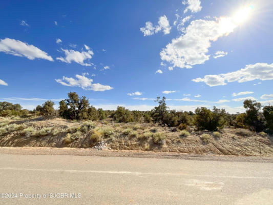 LOT 37 ANCIENT TRAILS CIRCLE, AZTEC, NM 87410, photo 4 of 4