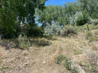 259 ROAD 4800, BLOOMFIELD, NM 87413, photo 3 of 5