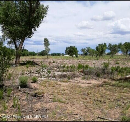 X ROAD 5195, BLOOMFIELD, NM 87413, photo 2 of 2