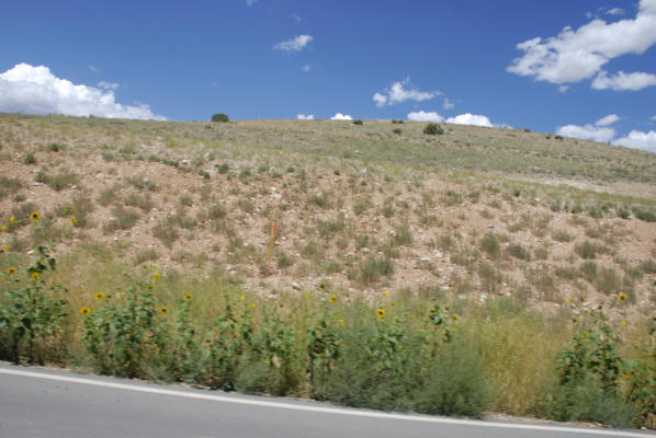 LOT 6 AIRPORT DRIVE, AZTEC, NM 87410, photo 3 of 7