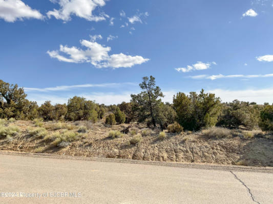 LOT 37 ANCIENT TRAILS CIRCLE, AZTEC, NM 87410, photo 2 of 4