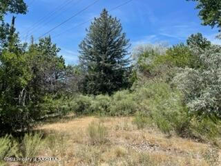 259 ROAD 4800, BLOOMFIELD, NM 87413 - Image 1