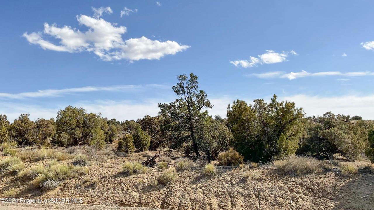 LOT 37 ANCIENT TRAILS CIRCLE, AZTEC, NM 87410, photo 1 of 4